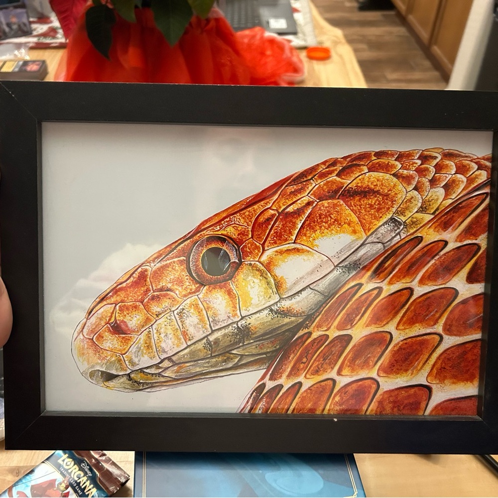 Corn Snake Print by Artist Kyle Duca